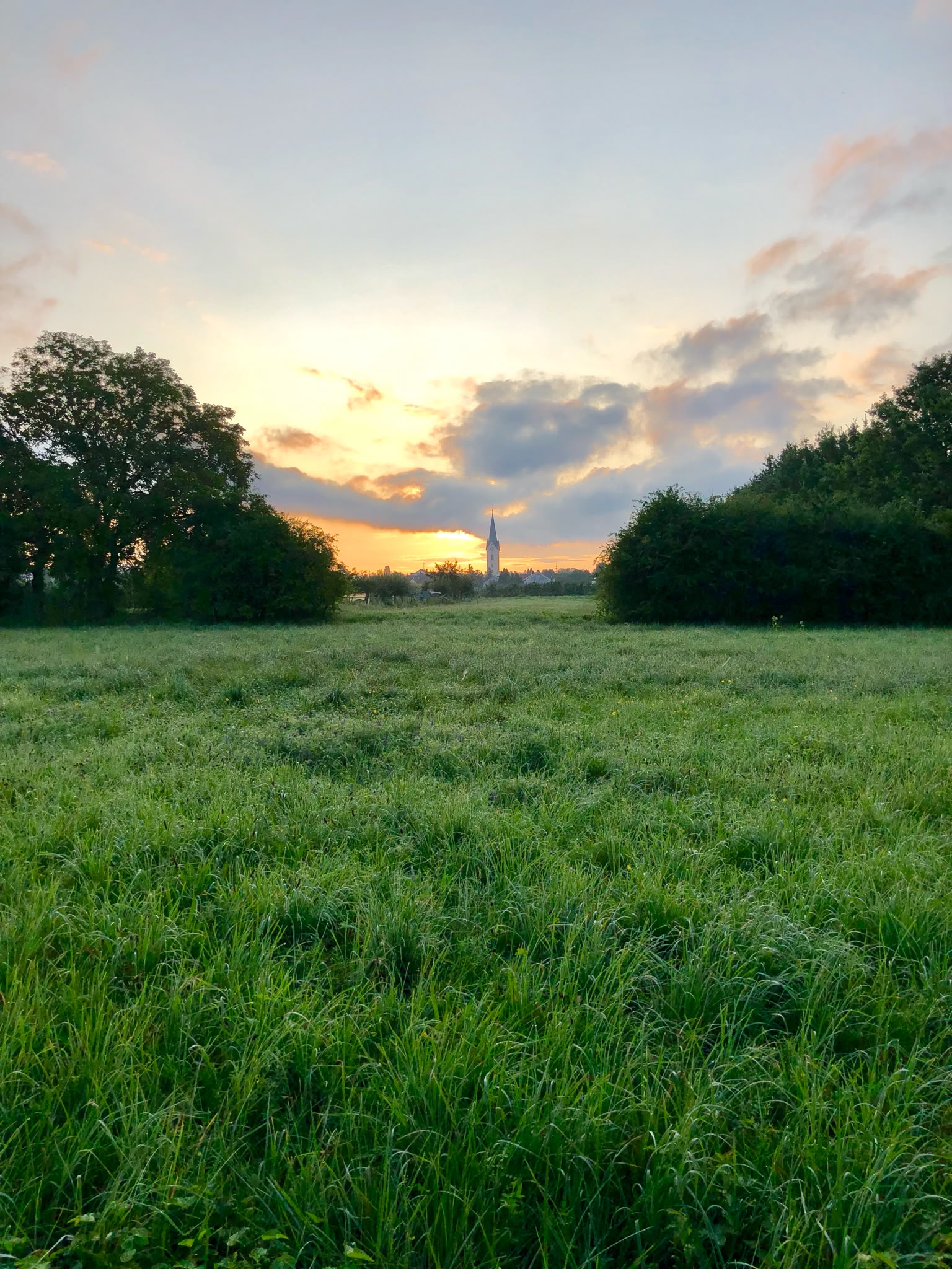Sonnenuntergang über dem Ried mit dem Eriskircher Kirchturm