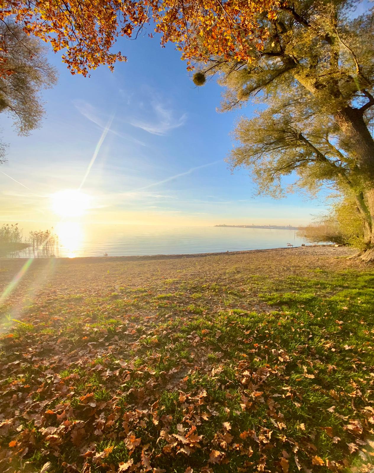 Herbstabend am Seegrundstück