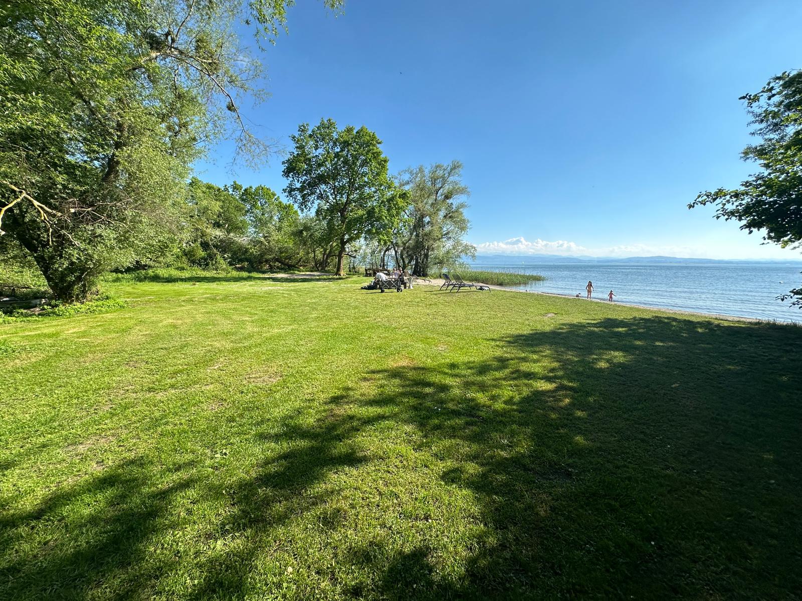 Wiese am Seegrundstück mit Blick über den Bodensee