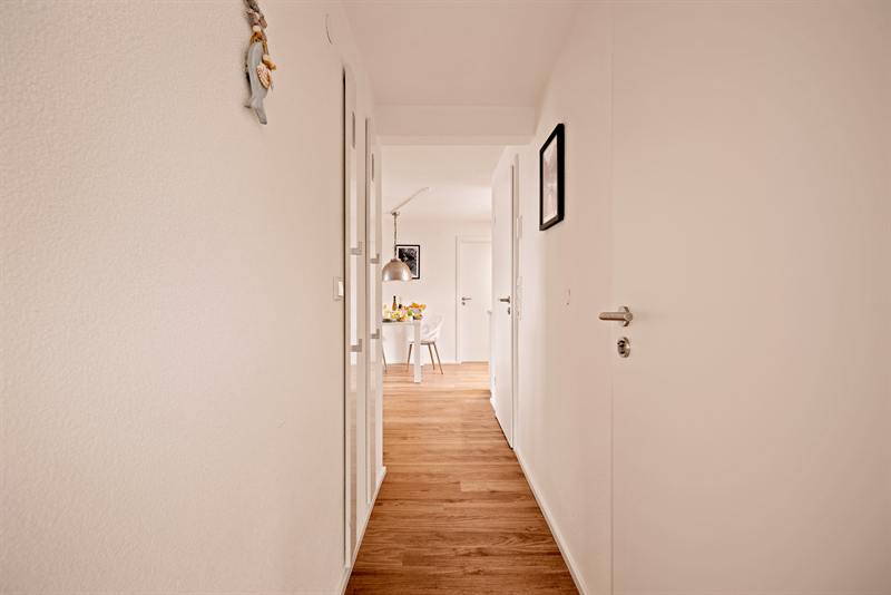 Seewiesen 4 · Haubentaucher Foto 8